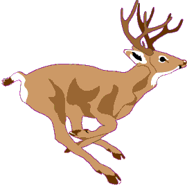 Deer2.gif