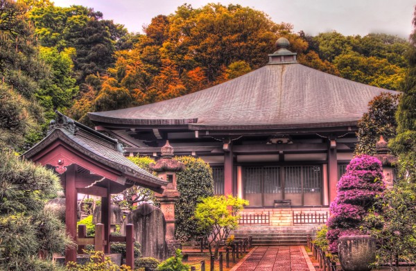 泉谷寺の本堂.jpg